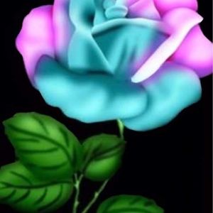 Meet your Posher, Patty